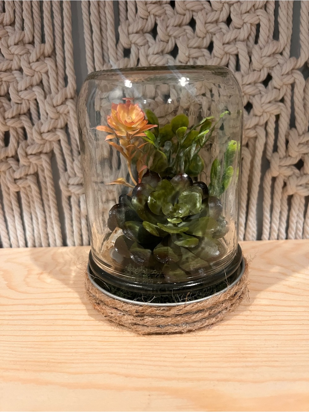 Glass Cloche Succulent Display - Green and Orange